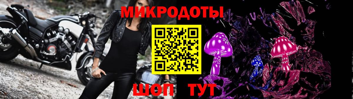 Псилоцибиновые грибы Psilocybe Воткинск